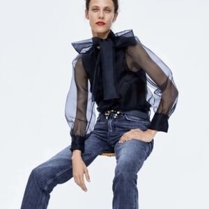 Zara Organza Semi Sheer Blouse with Tie